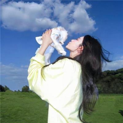 小鸟之翼第二季